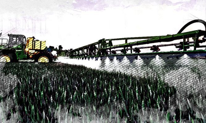 Создание Национального семеноводческого центра в Орле обернулось одними разговорами