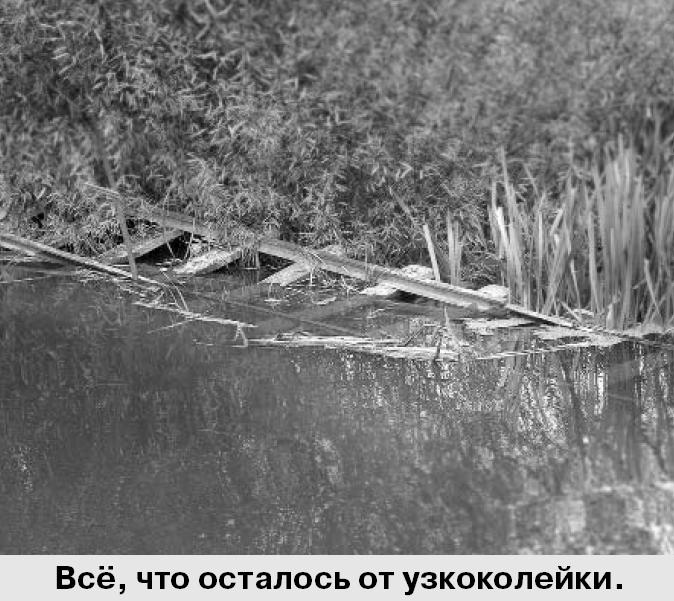 Екатерина Болховская Вихоревка Одноклассники Фотографии