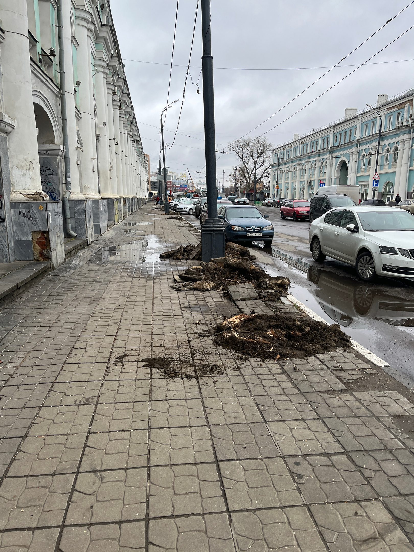 Очередной спил деревьев в центре Орла показал окончательное разочарование  горожан во властях - Новости Орла и Орловской области Орелтаймс