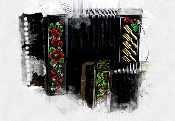 Строев с гармонью выступил в Кремлёвском дворце