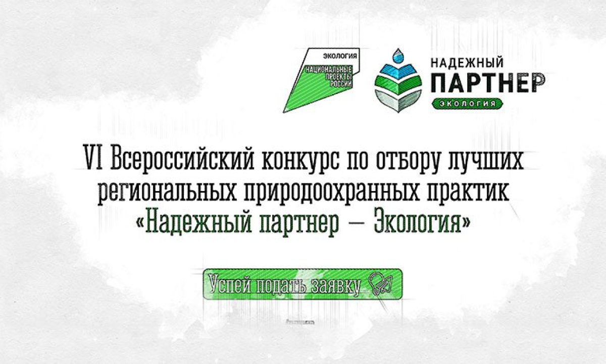 В Орловской области ищут эко-проекты для всероссийского конкурса - Новости  Орла и Орловской области Орелтаймс