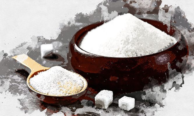 В Орловской области «сладкие люди» отмечают праздник