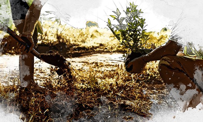 Летом Орёл ожидают цветочные сюрпризы от «Спецавтобазы»