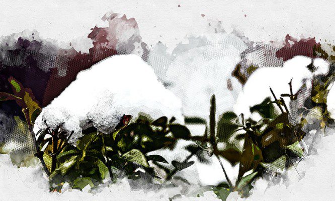 В Орловской области пошёл первый снег