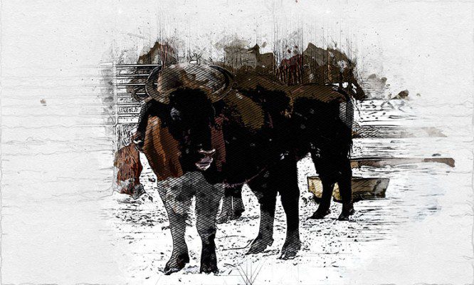 Главному символу Орловской области нужна помощь