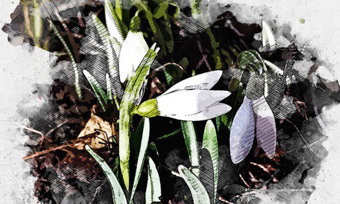 В Советском районе Орла на проталинах распустились подснежники