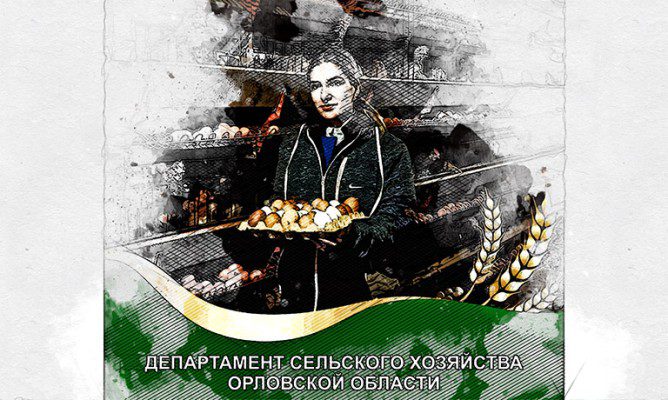 Орловчанка поднимает производство яиц в регионе
