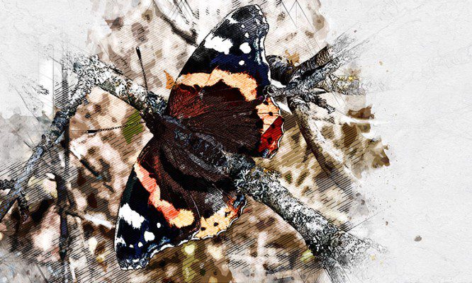 Удивительная бабочка украсила дождливую осень в Орловской области