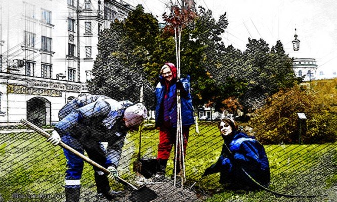 В Орле деревья с Ленинского моста «переехали» на новые места