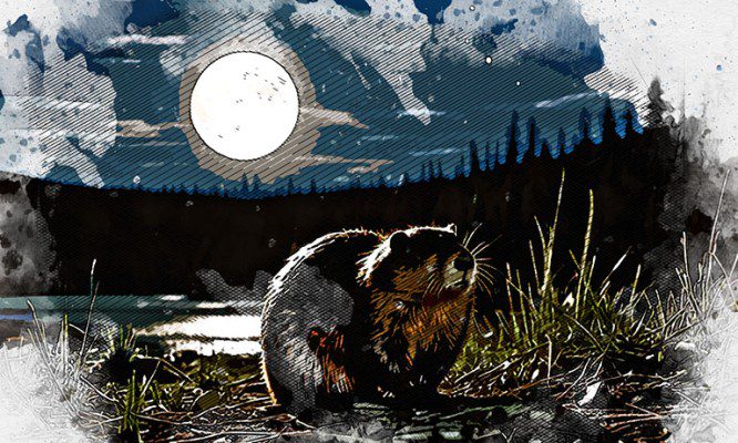 Орловцы смогут наблюдать в небе «Бобровую Луну»