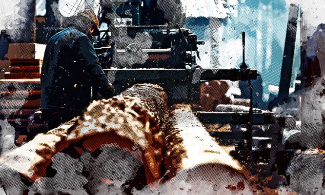 В Орловской области идёт охота на чёрных лесорубов