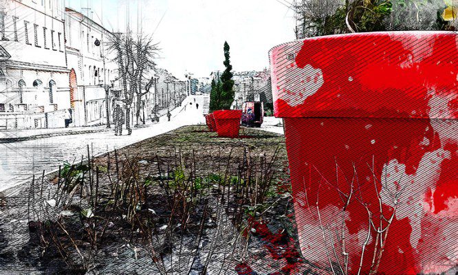 В Орле на улице Ленина высадили 138 кустов гортензий