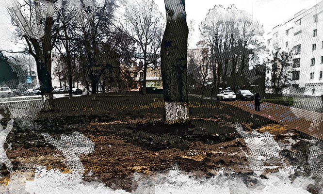 Орловский дуб-памятник на бульваре Победы избавили от удушающей плитки