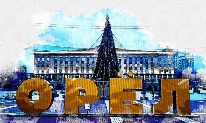 В парках Орла установили новогодние ёлки