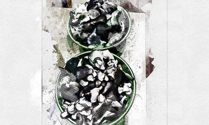 Названы самые грибные места Орловской области