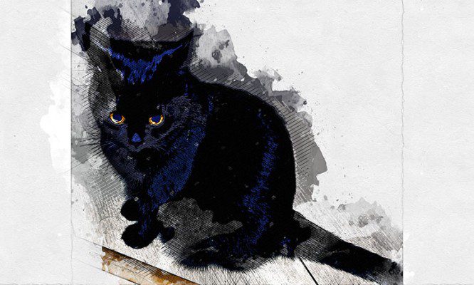 В Мценске за чёрную Луну готовы заплатить 5 тыс. рублей