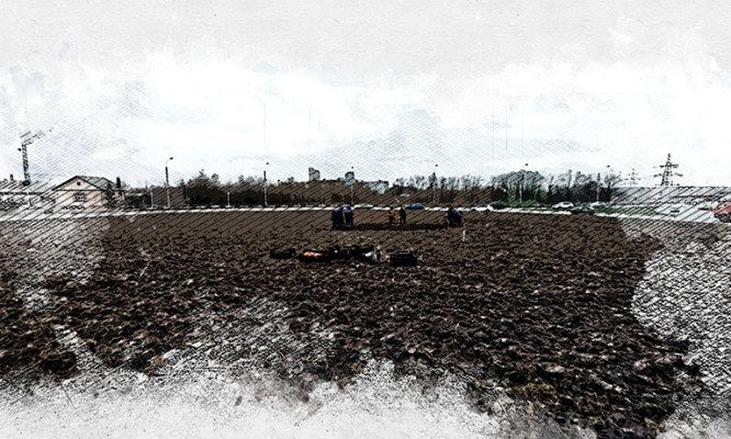 В Орле разворот на Михалицына впервые украсят 30 тысяч тюльпанов