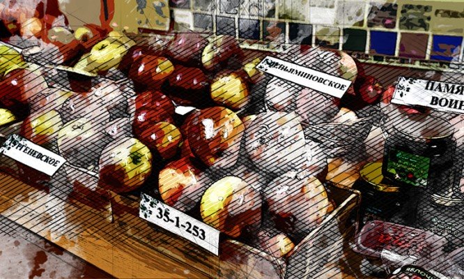 В Орёл приехали учёные селекционеры со всей России