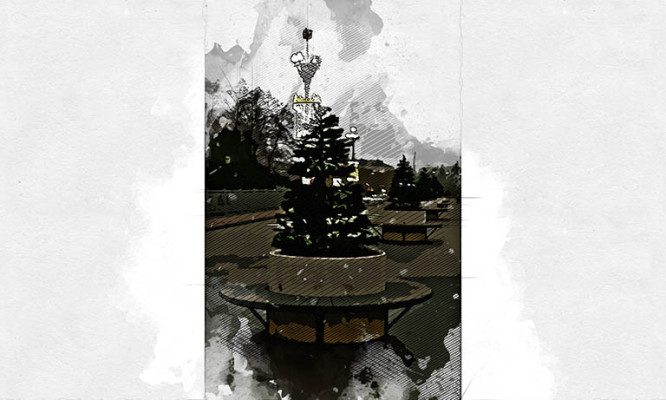 В Орле на Ленинском мосту установили ели для бизнеса