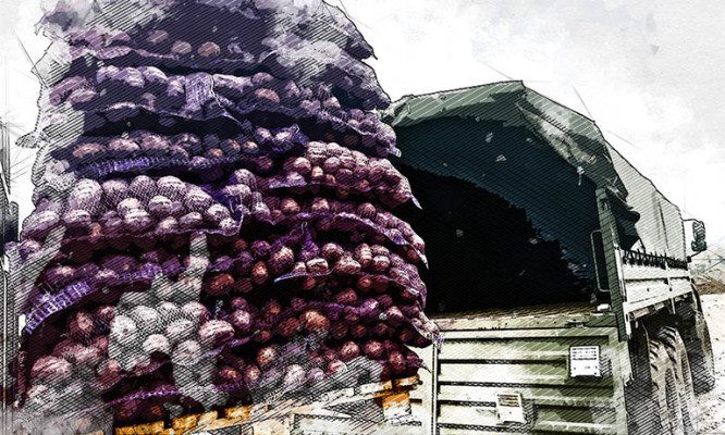 Российским военным на передовую отправили 7 тонн орловского картофеля