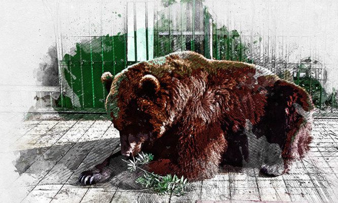 Проблемы диких животных в зоопарке рядом с Орловским полесьем дошли до суда