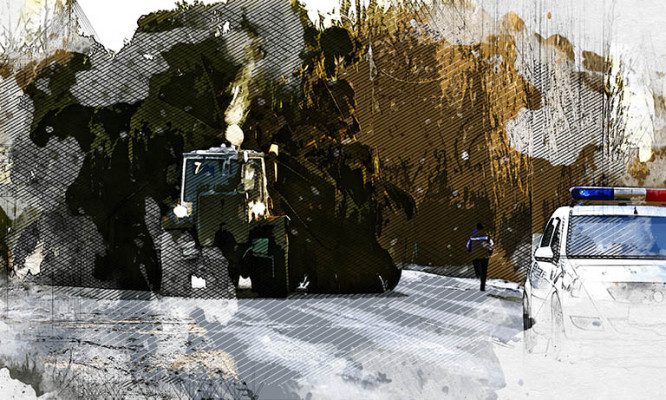 Под Орлом чиновники разыскивают живые ели для украшения общественных пространств