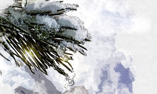 Виды заснеженного «Орловского полесья» восхитили орловцев