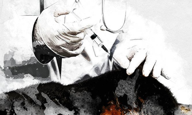 В Орловской области жителей заставляют прививать животных от бешенства