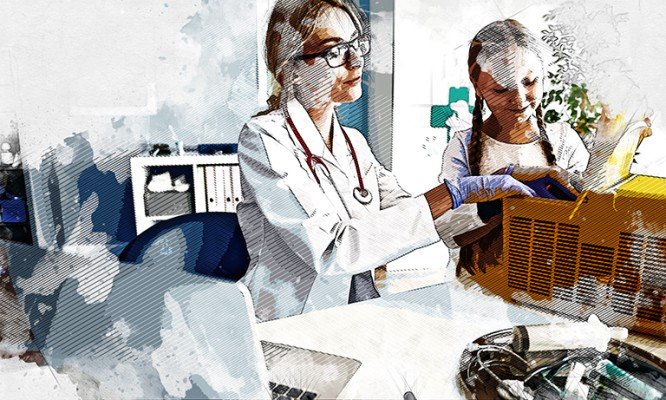 В 118 орловских школах есть проблемы с медицинскими кабинетами