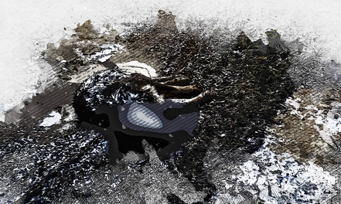 Орловцы сообщают о появлении живодёра