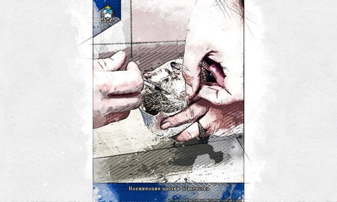 В Орловской области приступили к вакцинации ежей от бешенства