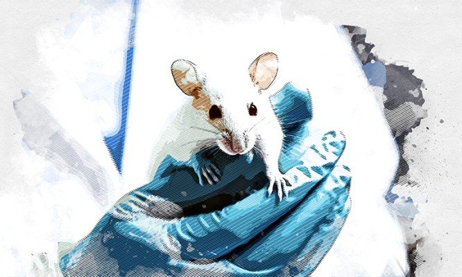 Мыши принесли коварную инфекцию в Орловскую область