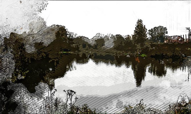 Орловцы вытащили женщину из пруда, но умерла до приезда скорой