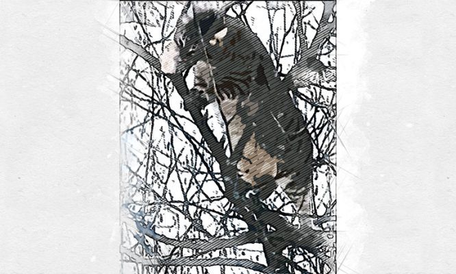 Орловцы умилились гигантской пушистой синичке