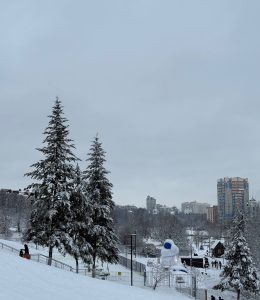 photo_2026-01-03_16-47-43