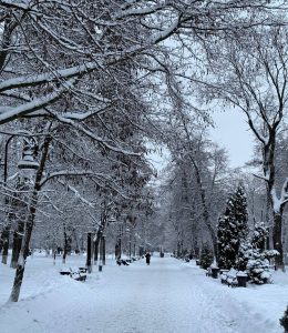 photo_2026-01-03_16-47-55