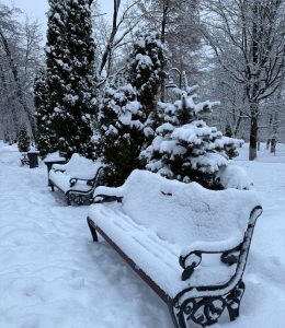 photo_2026-01-03_19-30-23