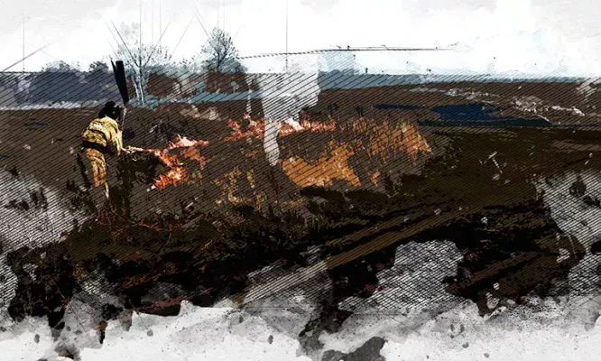 За год пожары охватили более 1000 га Орловской области