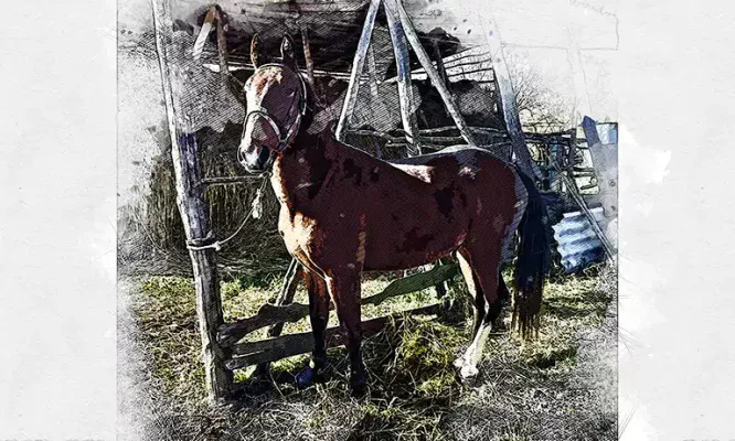 В Орле за огромные деньги продают живой символ года