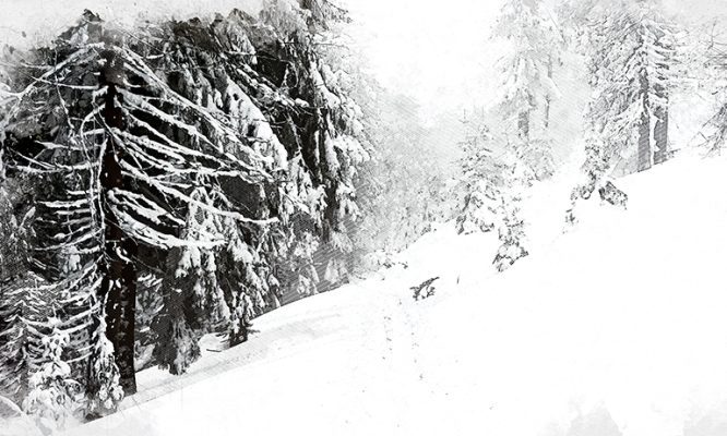 На Орловскую область вновь надвигается сильная метель