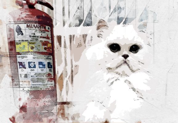 В Орле детям и двум котам подарили по огнетушителю