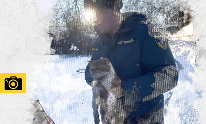 Орловские огнеборцы спасли от верной смерти рыжего красавца