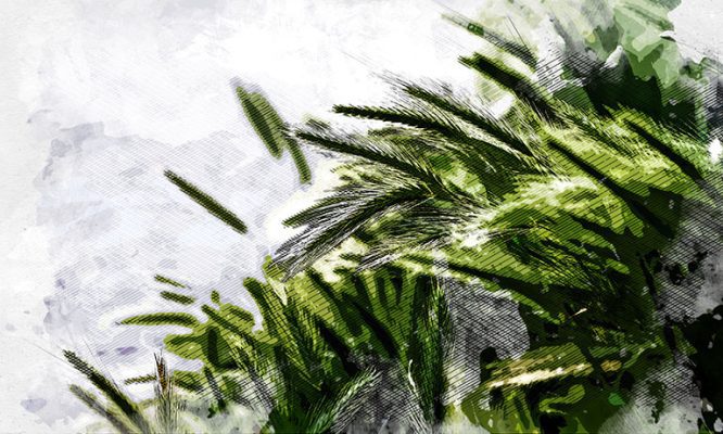 В орловском АПК рассказали о состоянии озимых после морозной зимы