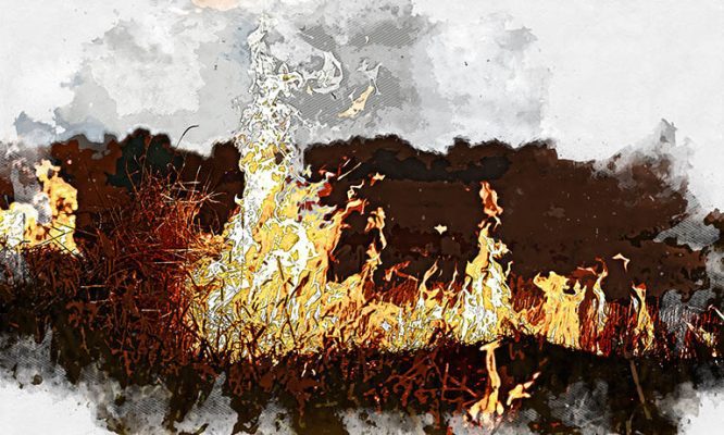 В Орловской области с приходом тепла начался пал сухой травы