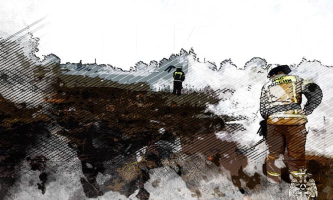 В Орле неизвестные подожгли траву в районе Силикатного пруда