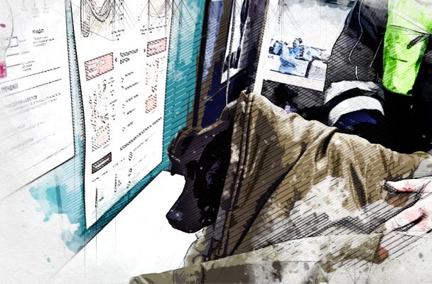 В Орле инспекторы ДПС доставили в ветклинику истерзанную собаку