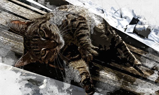 Сотрудники МЧС спасли жизнь троим орловцам и трём котам