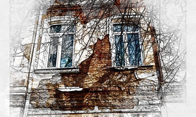 В Орле нет денег на ремонт разваливающегося Дома детского творчества