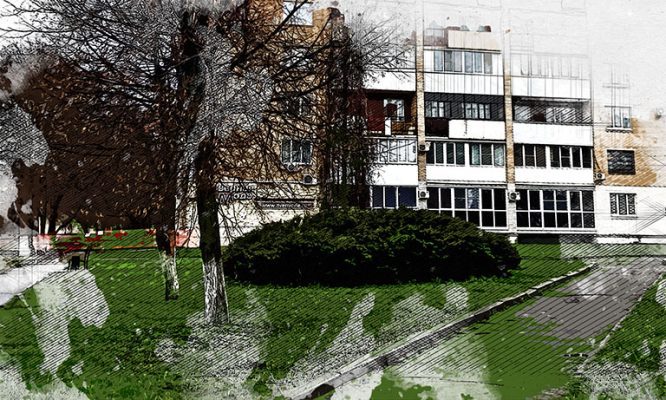 В Орле при благоустройстве сквера Иванова  уничтожат живописные кусты можжевельника