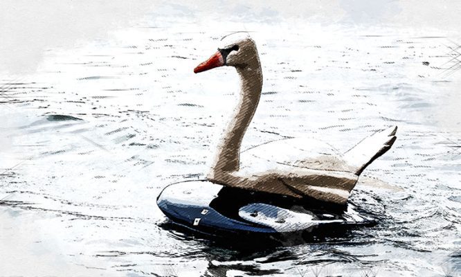 Лебединая одиссея под Орлом продлилась десять лет